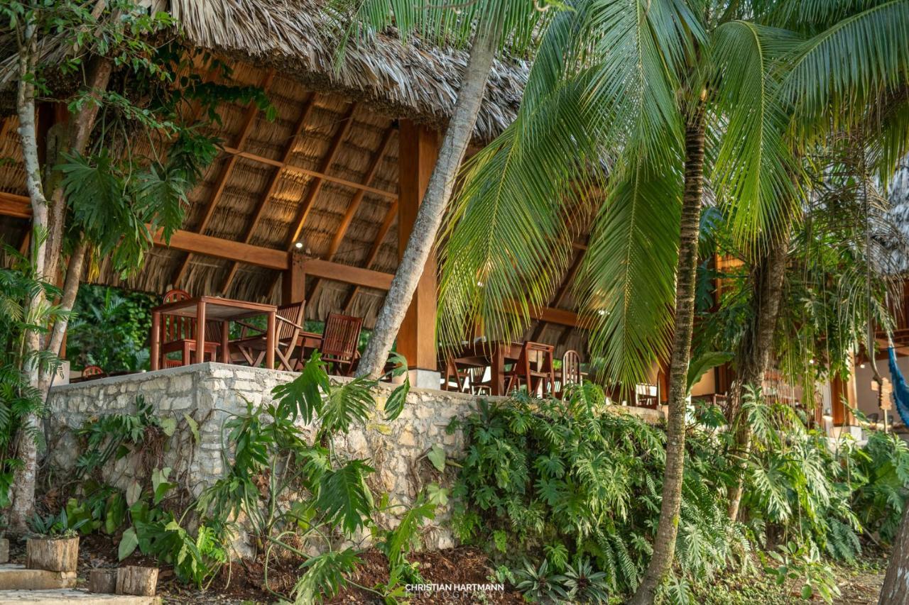 Hotel Gringo Perdido 3*